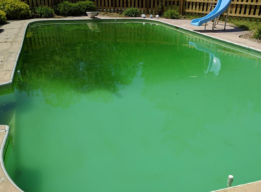 Effective Ways to Clear Green Water in Your Pool