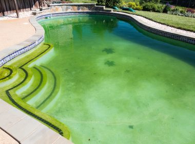 3 Most Effective Ways to Clear Green Water in Your Pool [2022]