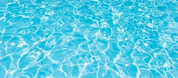 Pool clarifier